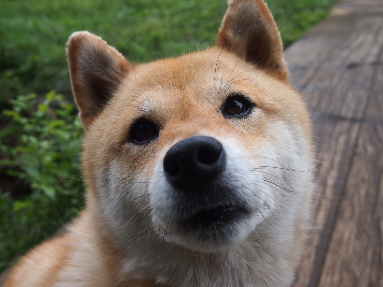 KAIYUN 中国大陆-炉石传说 新版本卡牌引爆赛场，炉石卡牌爆率