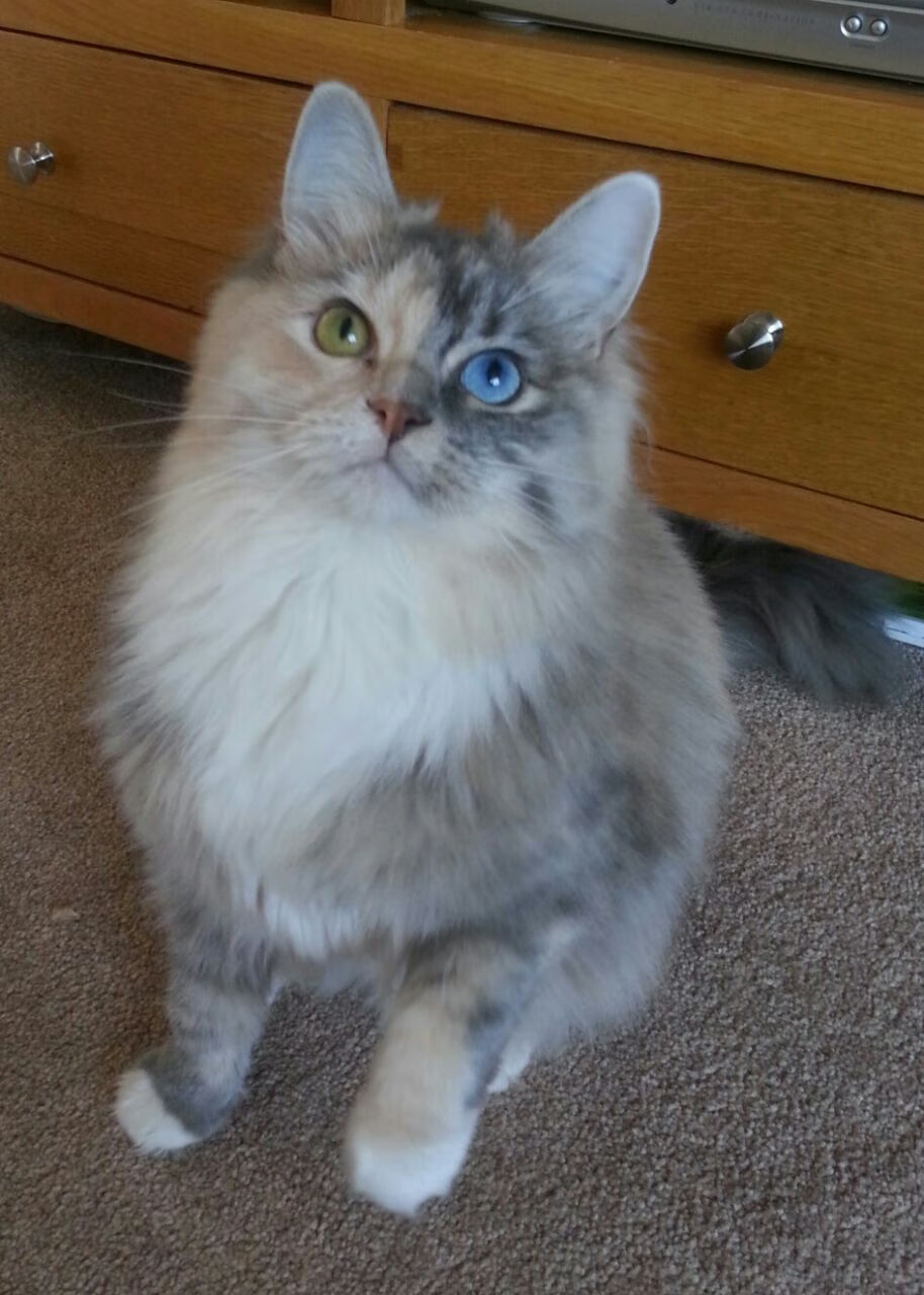 特色体育装备引领行业新趋势,助推青少年成长,体育装备有哪些