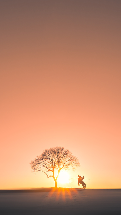 开云官方网页登录-瑞士门将获“最佳雪地扑救奖”，瑞士门将sommer