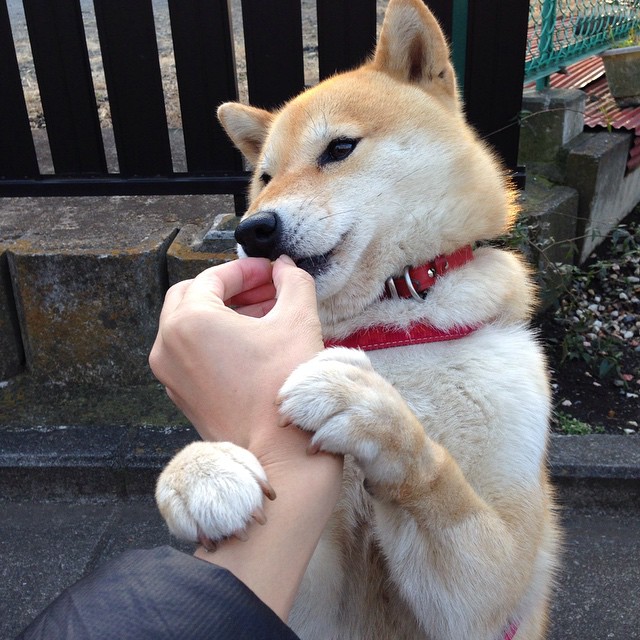 开云网页版-破纪录时刻：历史上的NBA惊人瞬间回顾，nba 纪录