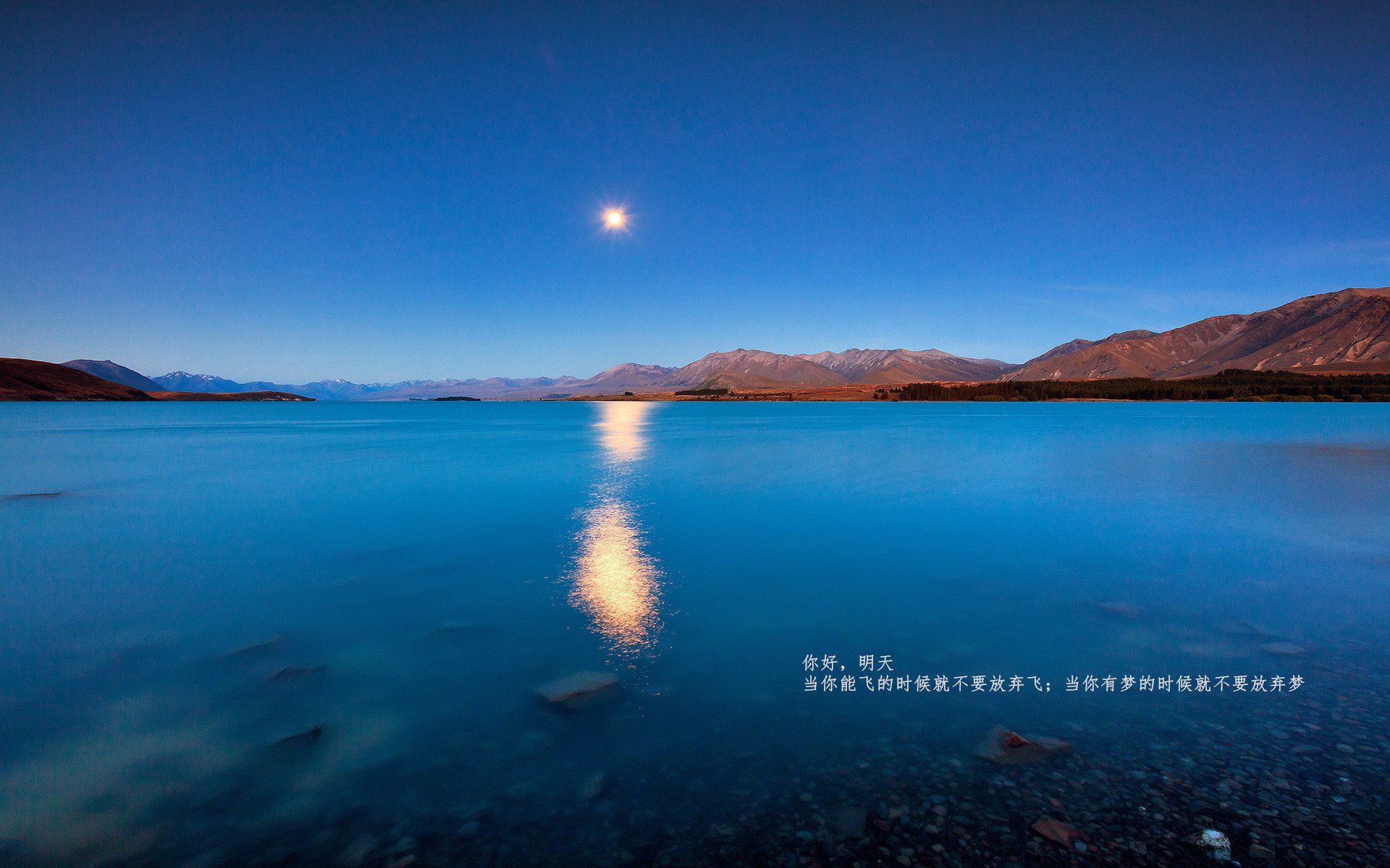 Kaiyun(中国)开云-看海豚飞跃，海边的趣味运动体验，海豚的运动规律动画