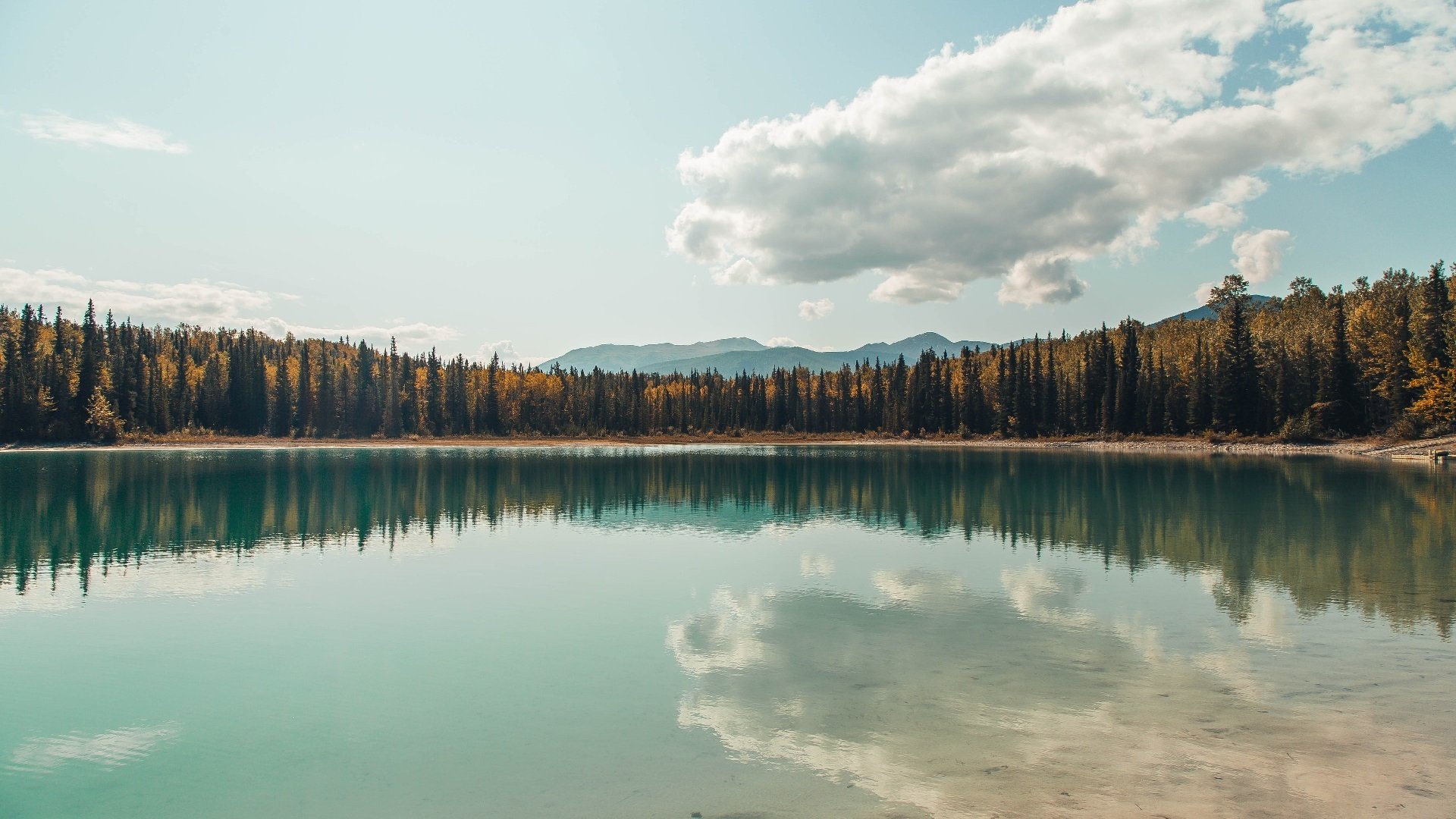 逆袭“逆天”骨干:小球队逆转巨头的传奇故事,逆袭球员