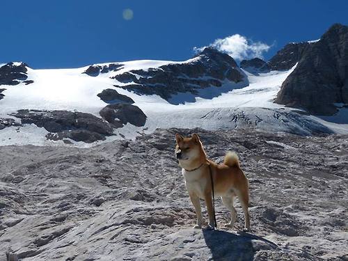 KAIYUN 中国大陆-青少年篮球“未来之星”盲选赛助推新晋明星崭露头角，未来之星全国青少年艺术展演