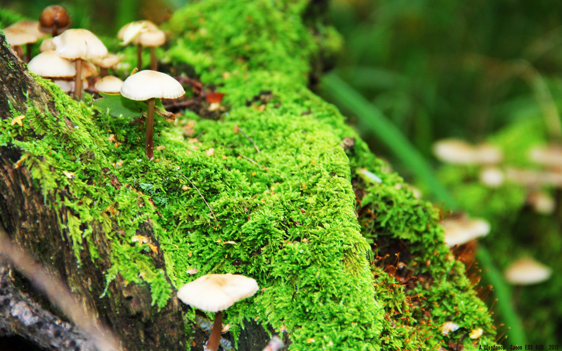 CBA球员齐聚训练场,奋力备战新赛季,揭秘cba各球队训练基地