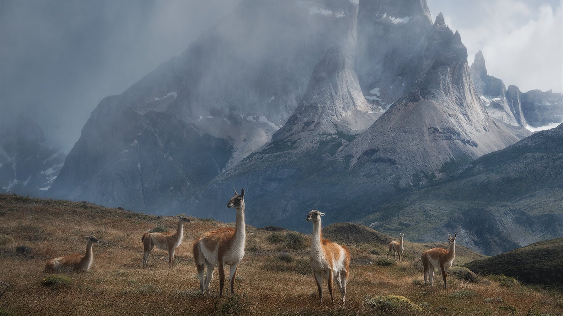 KAIYUN 中国大陆-T1新人多面手表现亮眼