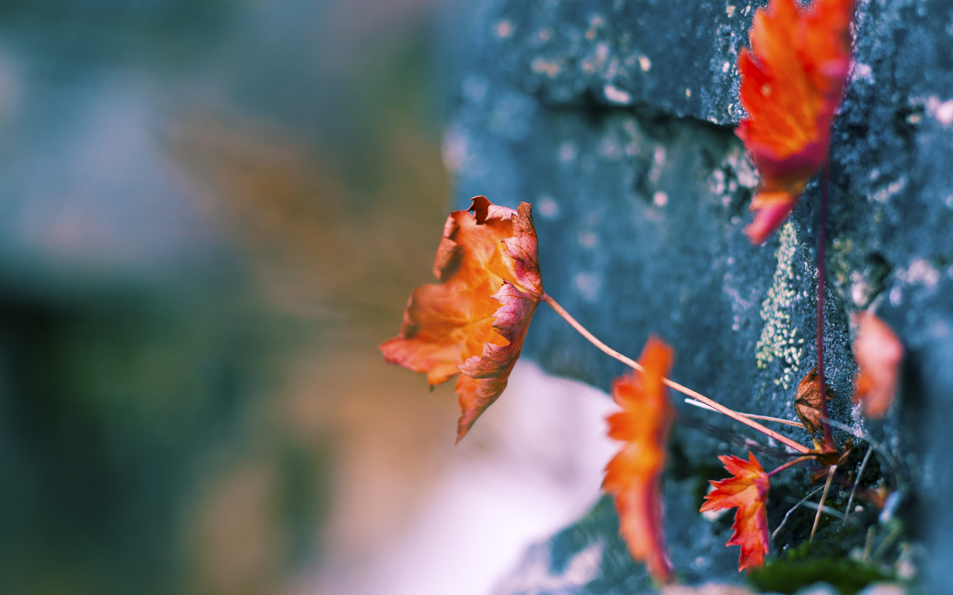 开云kaiyun-千钧一发：双方形势悬殊，胜利只在一线之间，千钧一发下一句