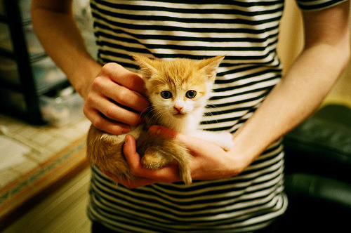 KAIYUN 中国大陆-欧冠赛场传奇战役，史诗般的逆袭之旅，欧冠经典回顾