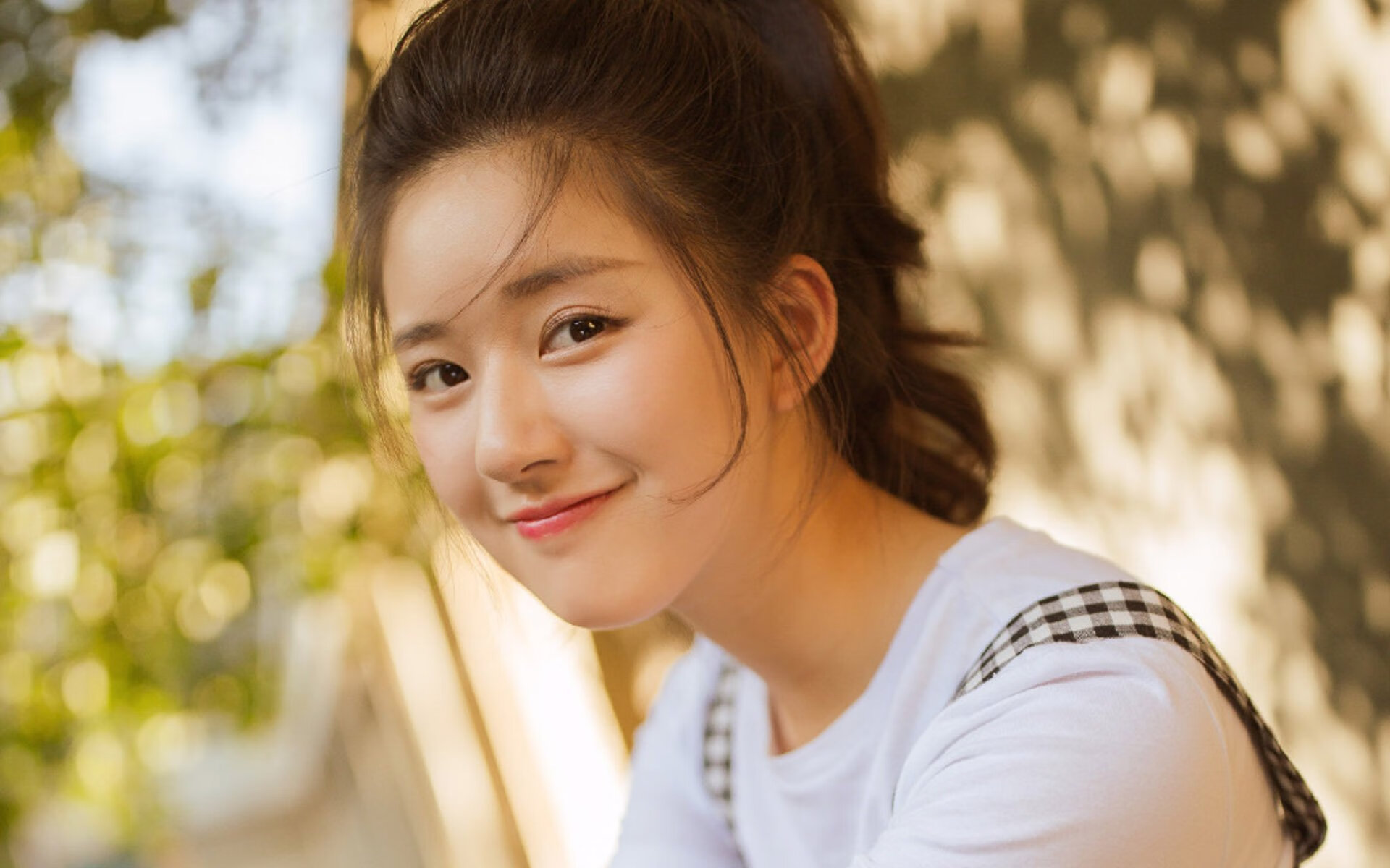 开云网页版-河南大象再负广东狮城队，陷入连败，河南大象什么时候绝迹的