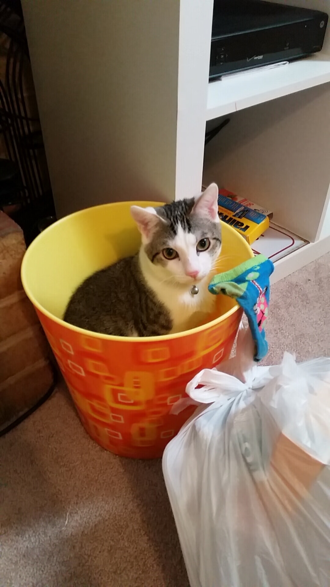 开云入口-瑞士守门员戴滑雪镜上场，时尚感满分，瑞士守门员身价