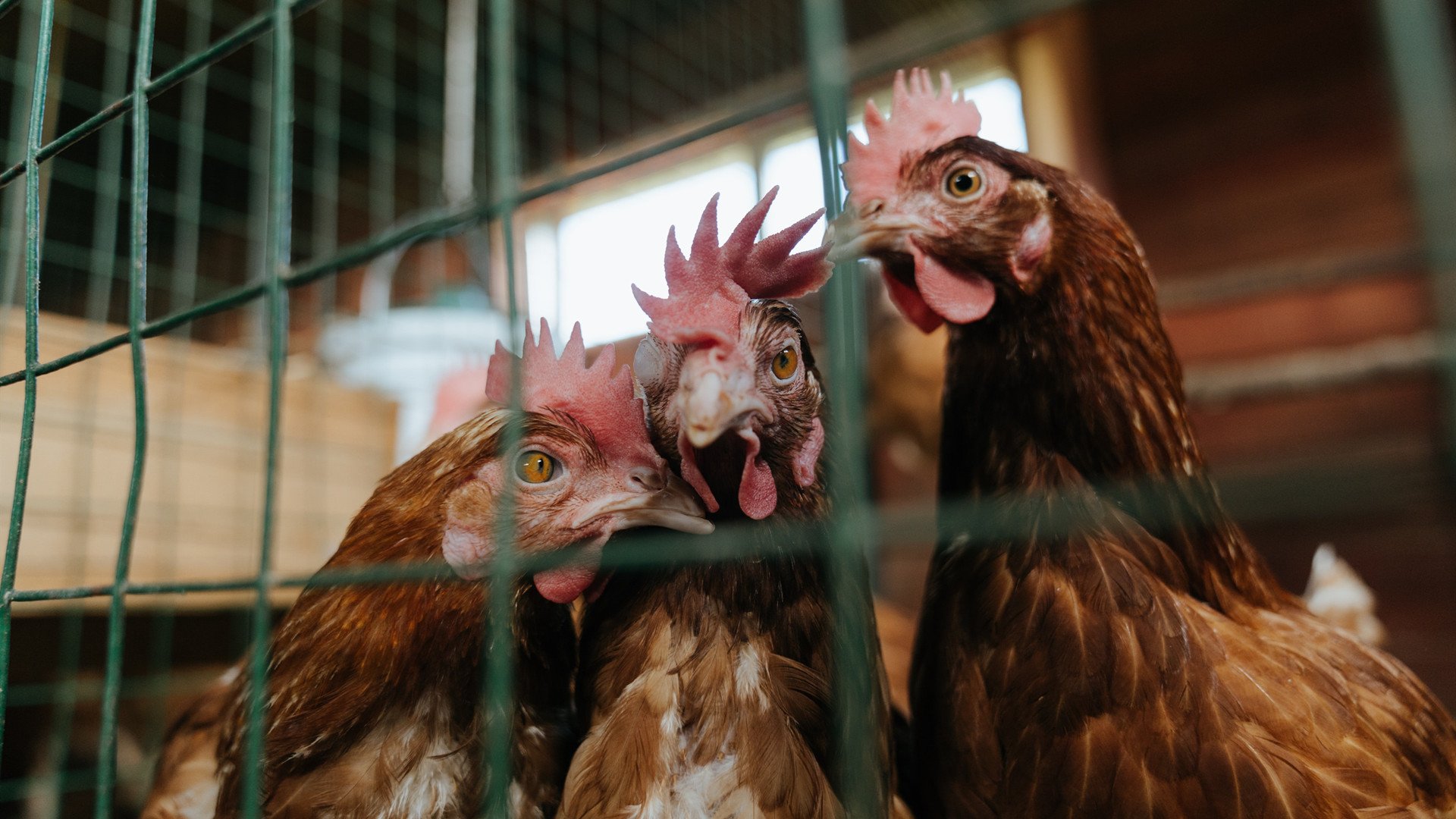 开云入口-电竞城市加强电竞人才引进政策，电竞产业人才缺口