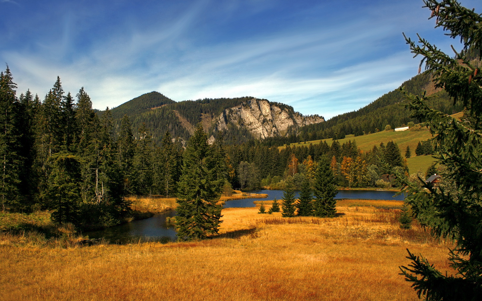 葡萄牙大胜保加利亚，锁定小组头名，葡萄牙vs