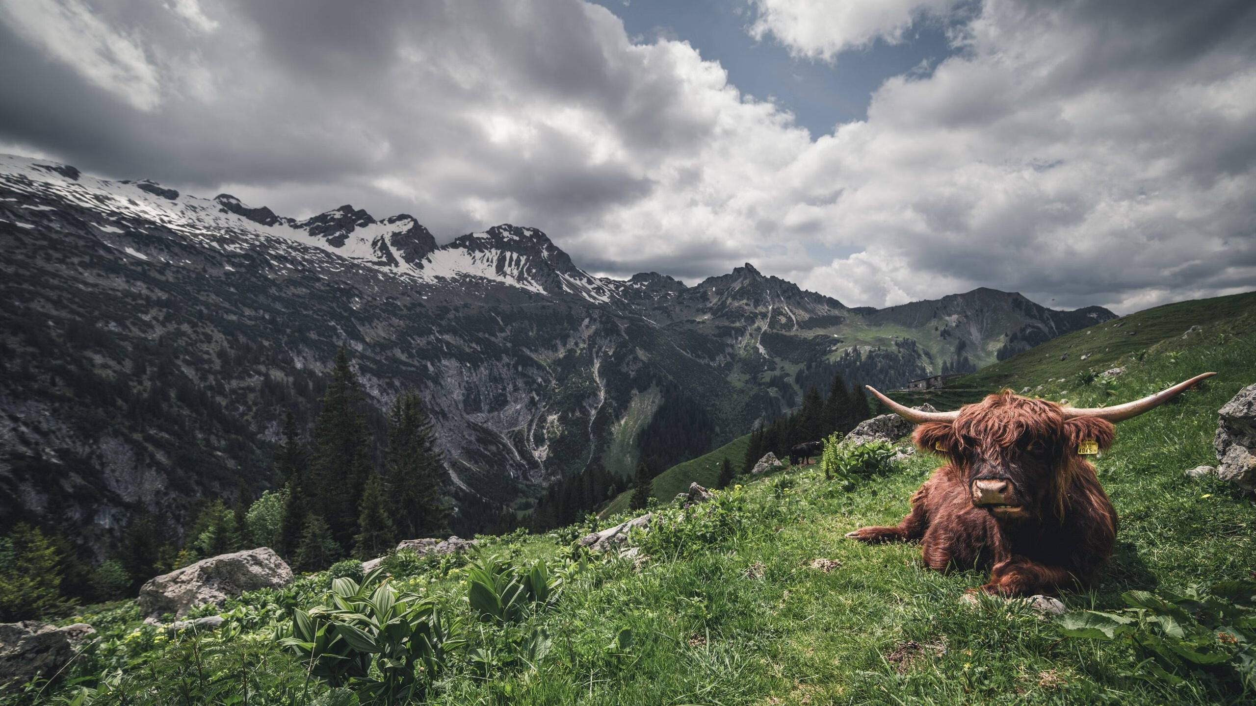 开云入口-足球盛宴精彩呈现，观众激情高涨，足球盛宴节目播出时间
