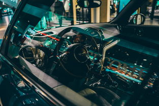 Kaiyun官方登录入口-世界高速滑轮挑战赛中国少年展现实力，世界滑轮比赛视频