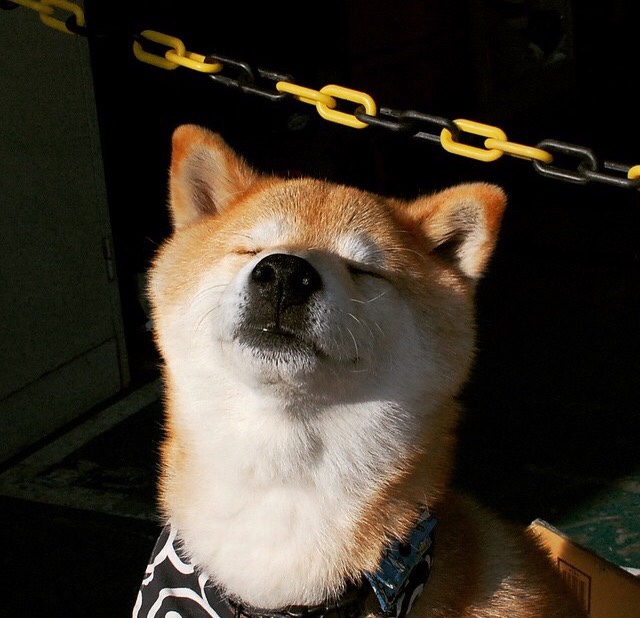 中国篮球联赛裁判员专业培训体系完善研究,篮球裁判员培训教程