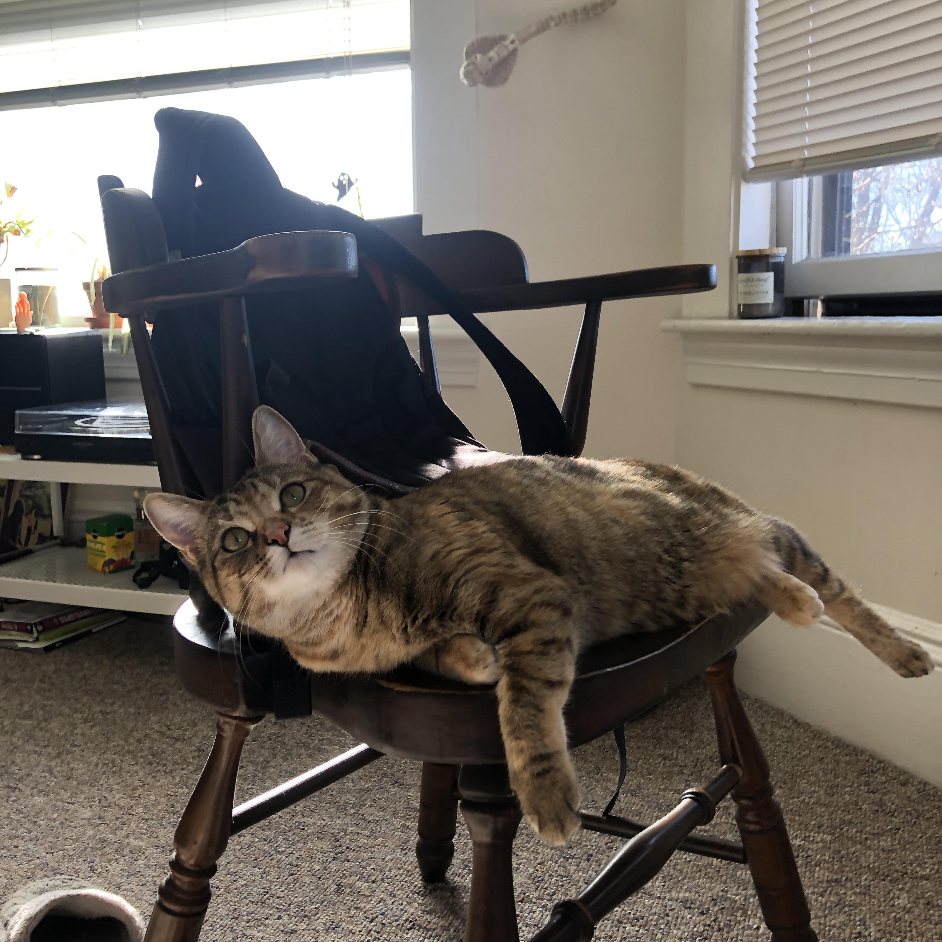 德甲青训引入语言思维训练提高球员位置决策能力，德甲青训最好俱乐部