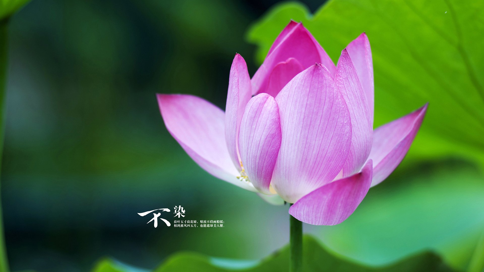 篮球专项技能动作捕捉技术研发,篮球技能动作简略说明