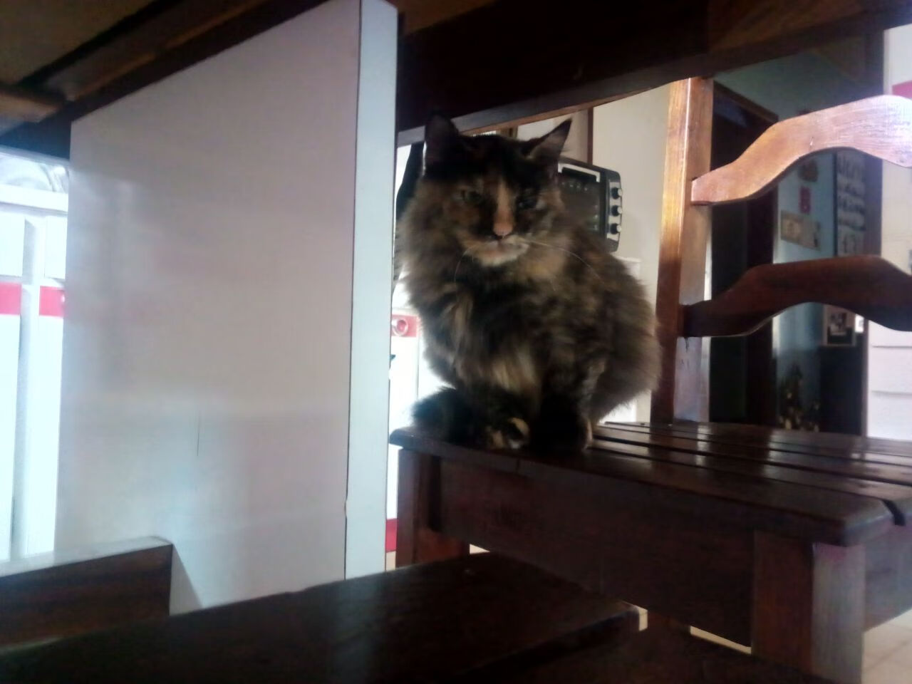 法甲联赛观众行为变化与营销策略调整,法甲参赛球队