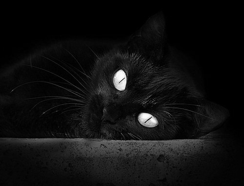 高校体育场馆运营效率提升策略,高校体育场馆如何运营和管理