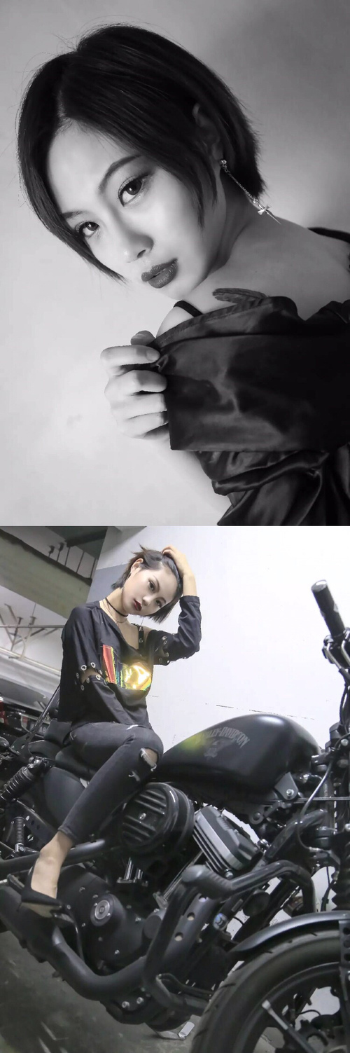 高校运动训练动态管理机制研究,运动训练过程调控与参赛指导