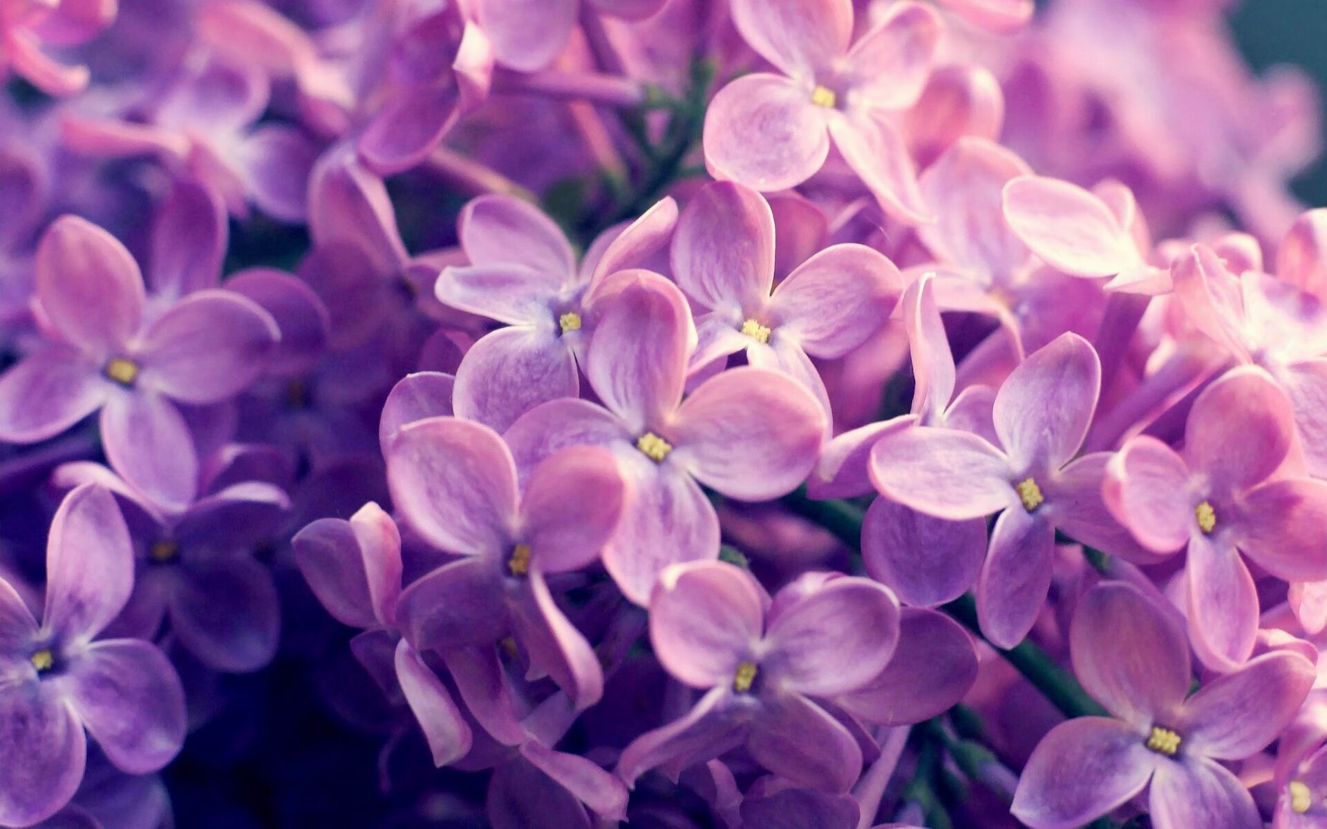 Chinese Taipei团队:未来在国际赛事中的崛起之路,china's team