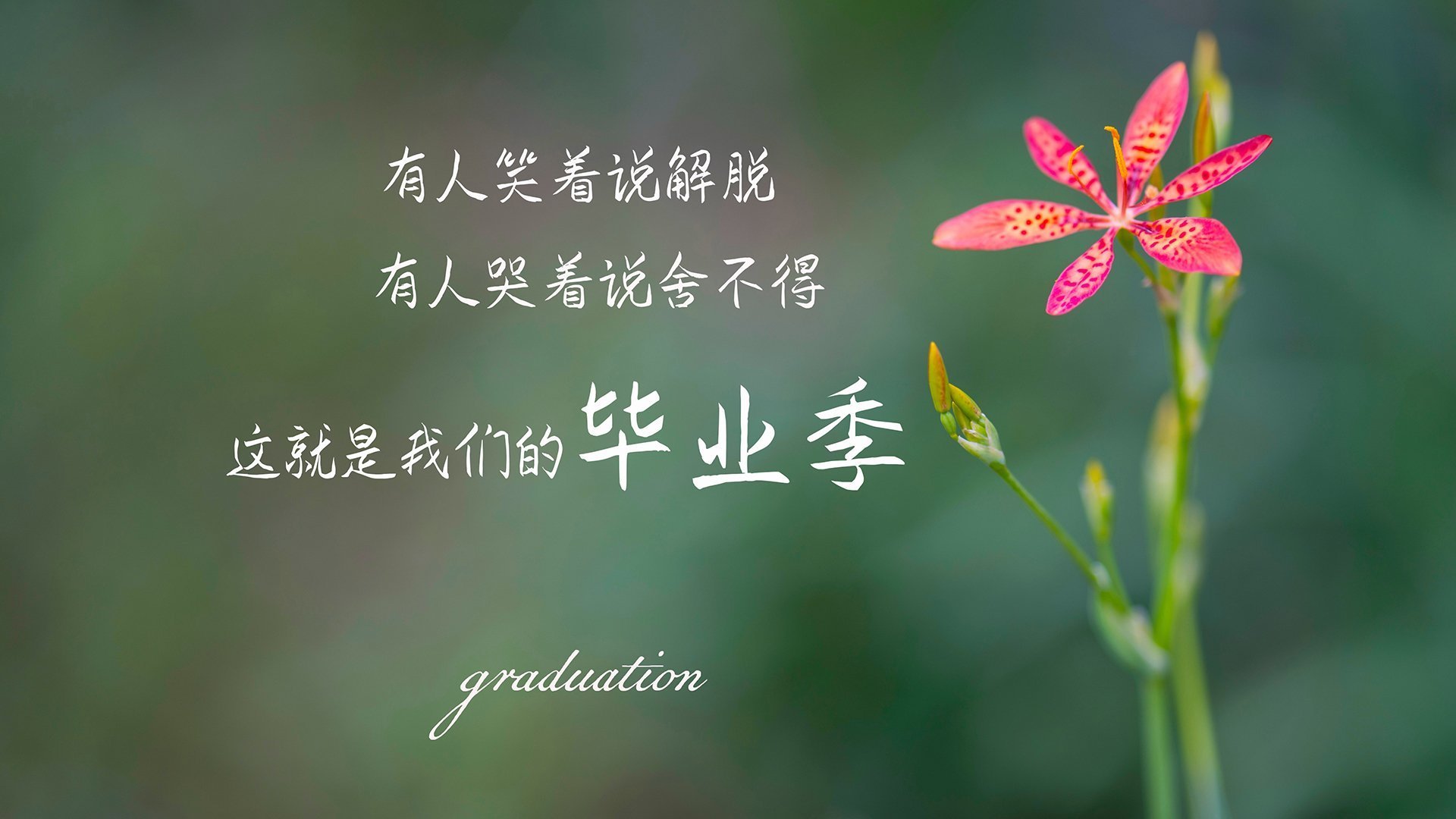 自由泳划水周期与转身效率相关性分析，自由泳划手和转体的配合