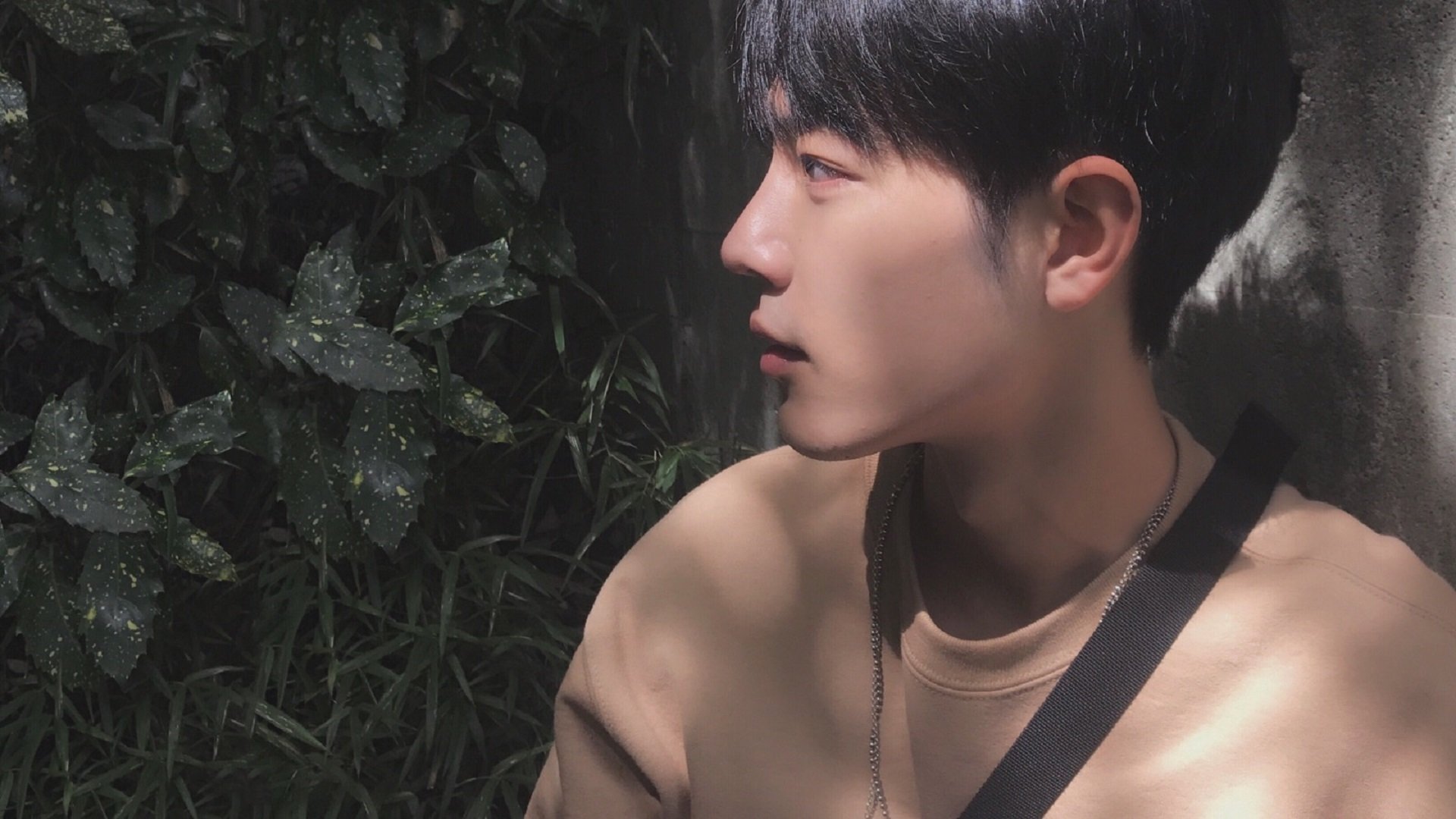 开云中国大陆-即将到来的世界橄榄球大赛，哪个队最具看点？，全球最盛大的橄榄球比赛