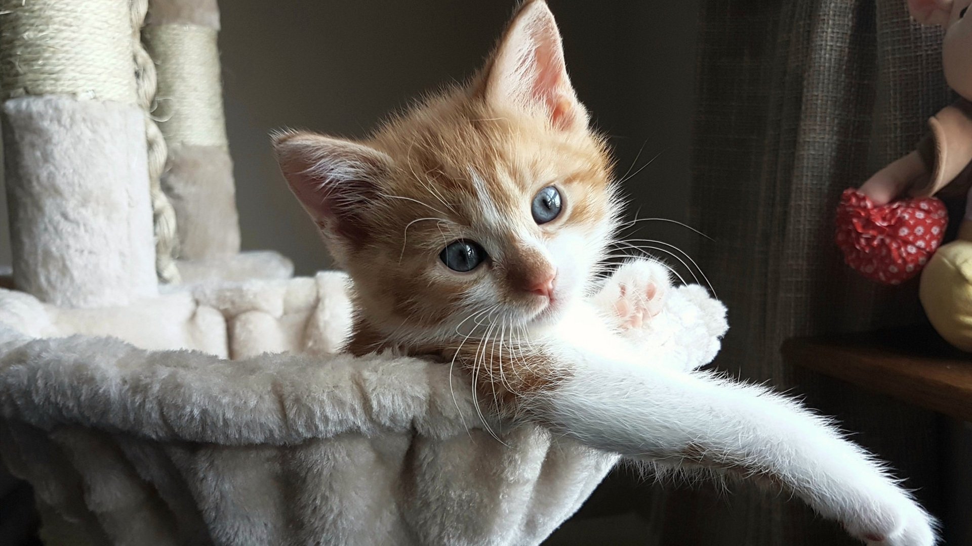 斯洛伐克男篮在欧洲大赛中勇敢追梦,锐意前行,斯洛伐克队欧洲杯大名单