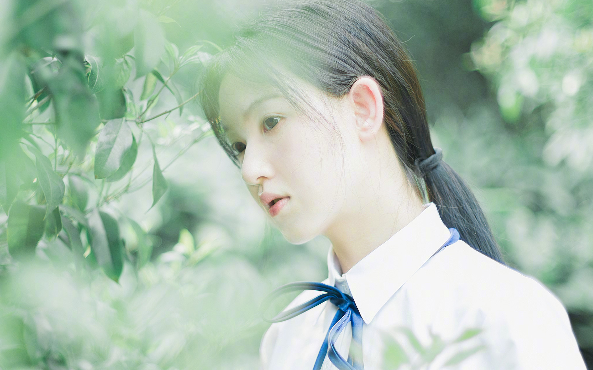 kaiyun.com-篮球教练员资格认证体系逐步完善提升教练队伍专业水平，篮球教练员证书