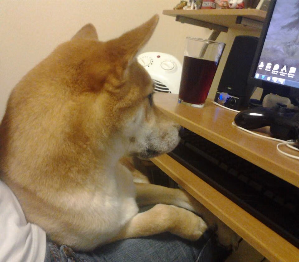 开云网页版登录入口-莫伊：他在全黑队前锋线上的影响力无人能及，scrum中展现强大控制力