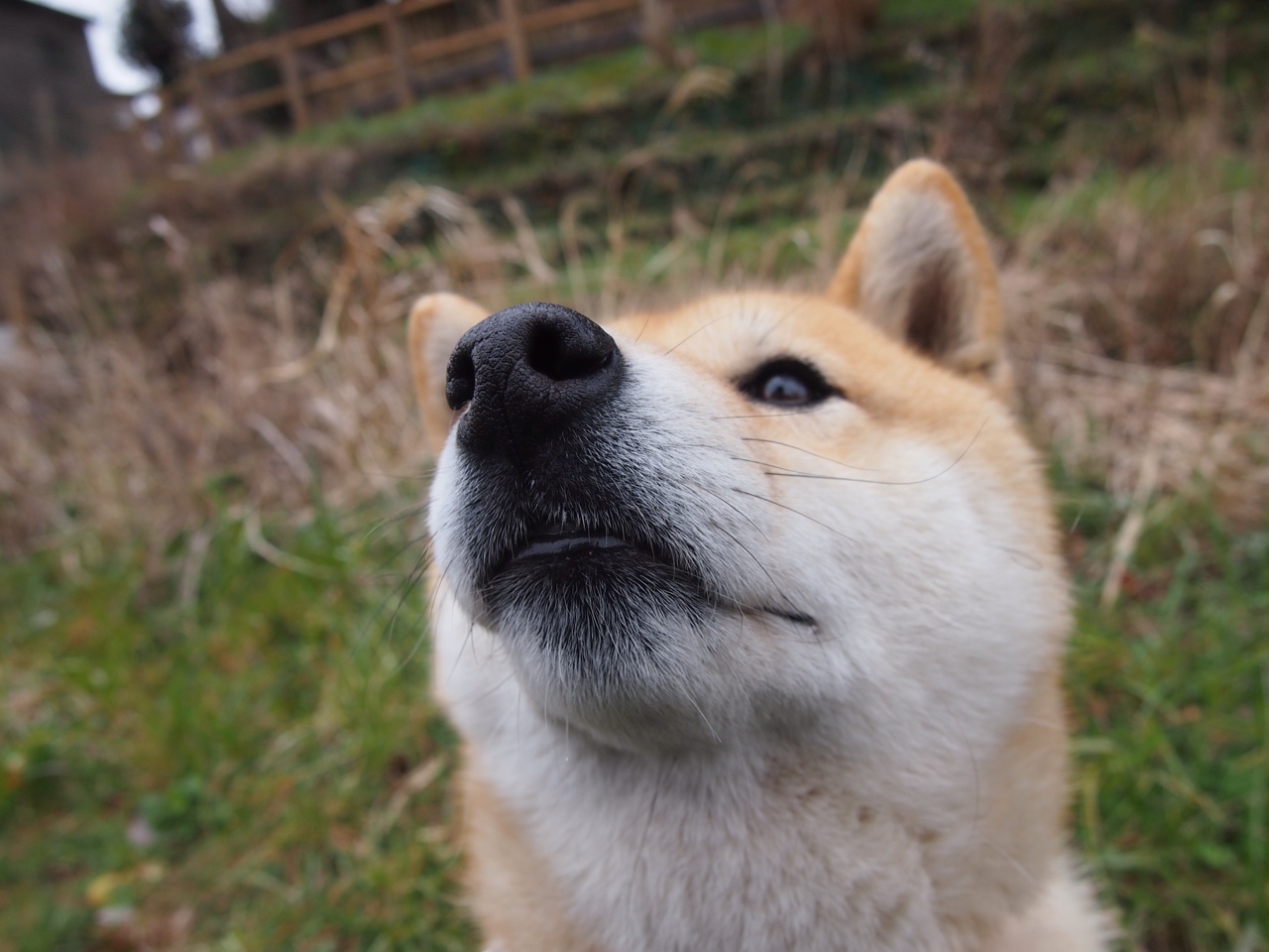 青训项目扩展至北部地区,青训项目扩展至北部地区的措施